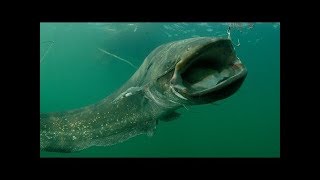 Коварная Москва-река!Клюнул крокодил!!!обрывы Коварная Москва-река!Клюнул крокодил!!!обрывы