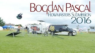 Bogdan Pascal | Flowmasters Submission | 2016