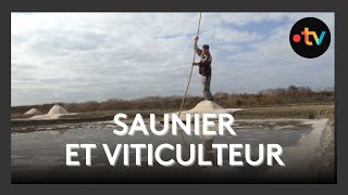Un Été Parfait Pour Jérôme Bertin, Viticulteur Saunier Sur Lîle De Ré