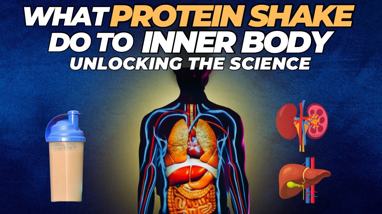 Unlocking the Science How Protein Shakes Transform Your Inner Body
