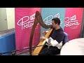 Die keltiese harpspeler Gerdes Olivier