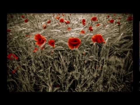İshak Göktekin - Gesi Bağları