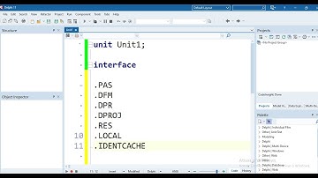 DIFERENTES ARQUIVOS NO DELPHI (DFM, PAS, DPROJ, RES E ETC...)