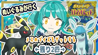 【ポケモン バイオレット】メスのブイズをゲットする！！残り２匹！