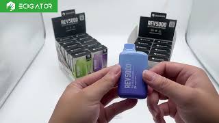 Ecigator Rev5000 5000 Puffs Disposable Vape Rechargeable Fruit Flavors