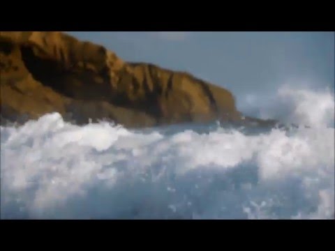 Free Download Laguna Beach Rogue Waves Mp3 dan Mp4