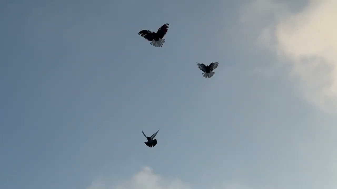 Лучше поздно чем никогда 