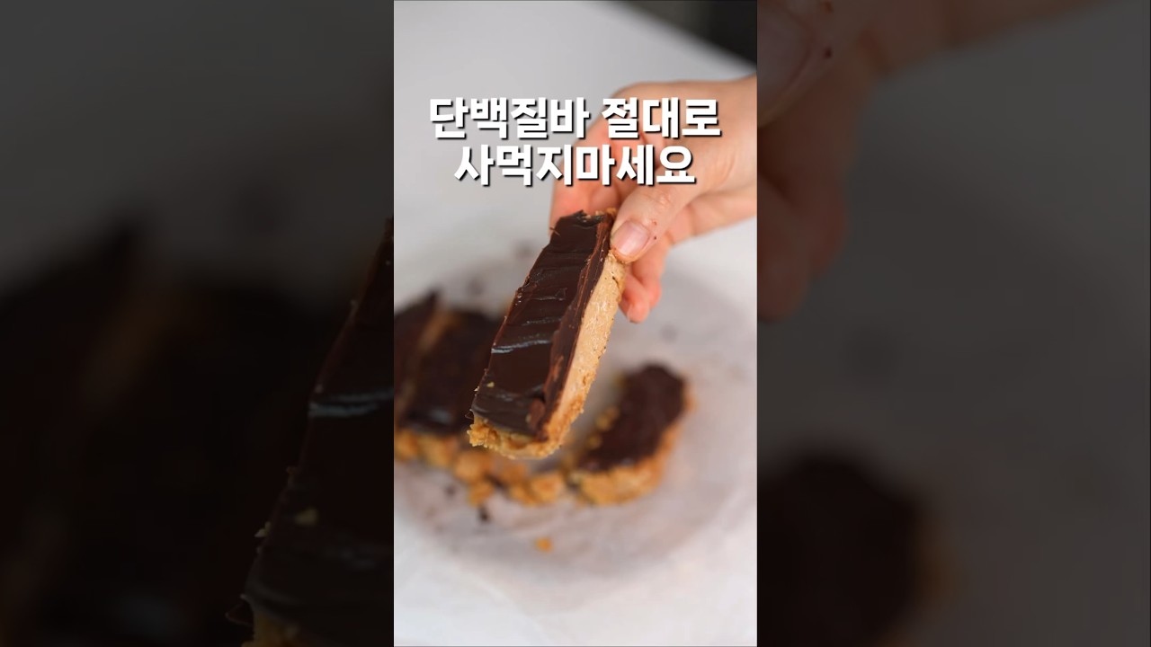 수제 단백질 바