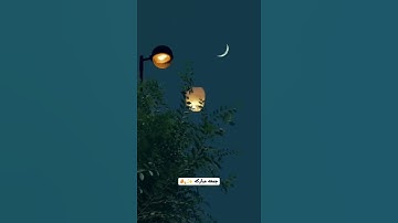 ستوريات دينيه/🌱/ جمعه مباركه /#جمعة_مباركة /🌱/حالات واتس آب قرآن/آيات قرانية قصيرة /ستوريات انستقرام