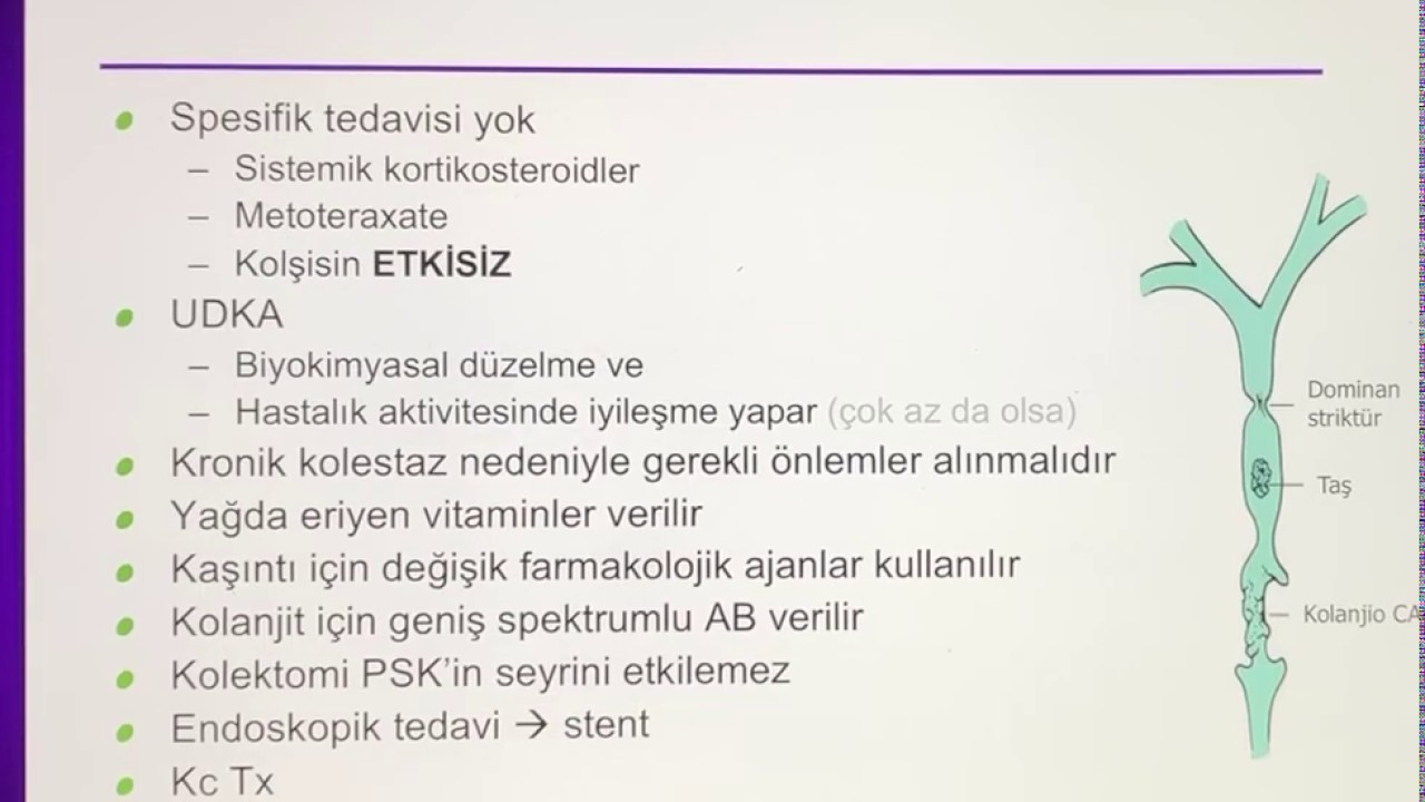 Primer Sklerozan Kolanjit YouTube Primer Sklerozan Kolanjit YouTube