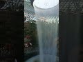 Singapore airport beautiful😍Indore waterfalls 🌊#viralshorts