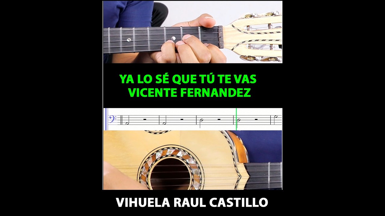 YA LO SE QUE TU TE VAS VIHUELA Y METRONOMO
