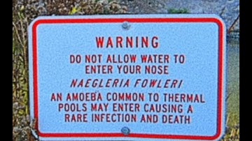 Lurking In The Lake: Incubation Period. [Full Album]