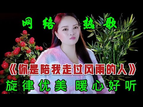 网络热歌《你是陪我走过风雨的人》好听又暖心，深受网友们的喜欢