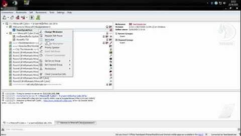 วิธีใส่รูปภาพในTS3