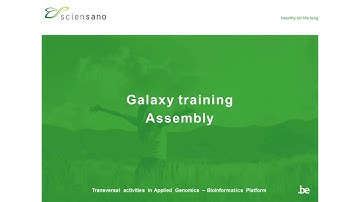 09.  Galaxy assembly