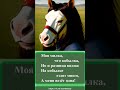 235 Частушки про кобылку
