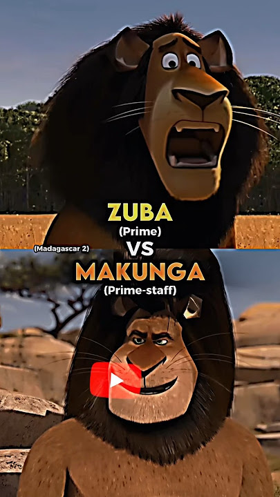 Zuba vs Makunga