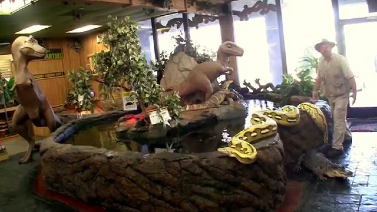 Welcome to The Reptile Zoo - YouTube