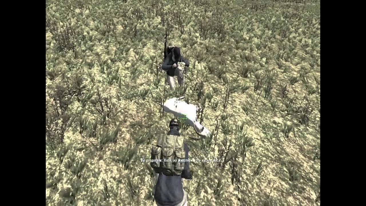 Баг в Day Z - CFF-TEAM.RU