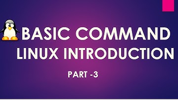 Basic Command  in Linux | Devops Basic Part-6 | Techie Ansh