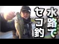 これが【釣りよか】のセコ釣りだ！