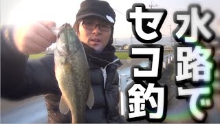 これが【釣りよか】のセコ釣りだ！