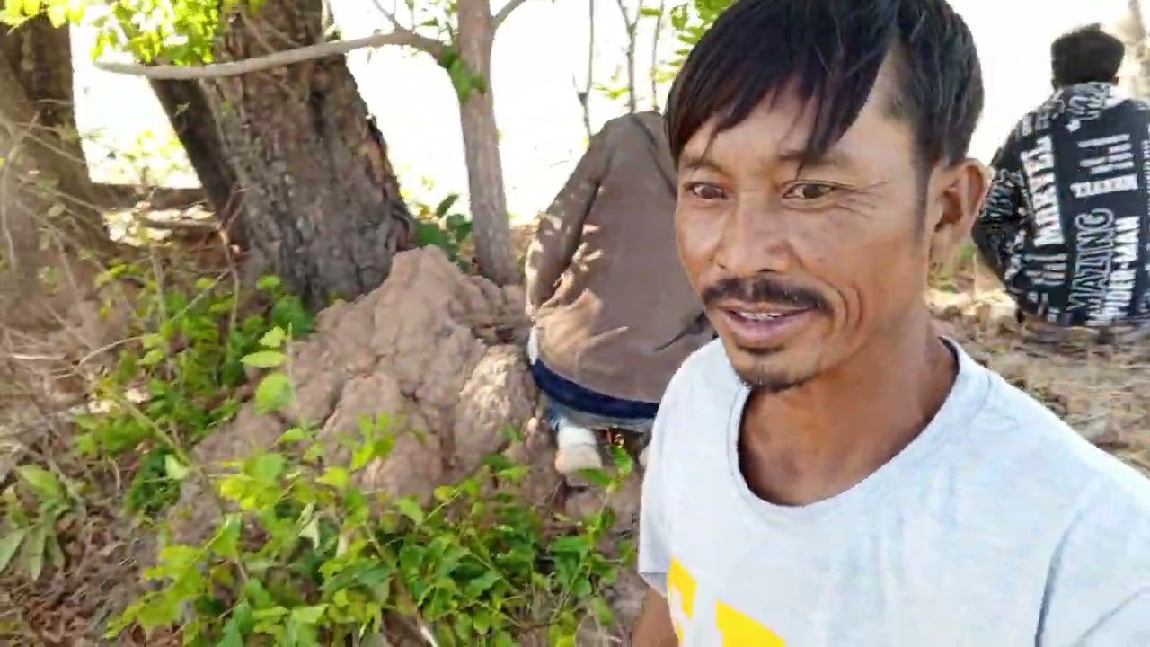 ลุงพันซอยลุงศิลป์เอาต้นสะเดา