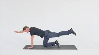 Back Doctor - Quadruped Level 3