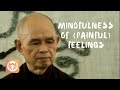 Mindfulness of (Painful) Feelings | Thich Nhat Hanh (short teaching video)