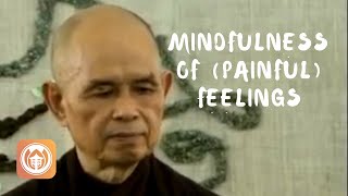 Mindfulness of (Painful) Feelings | Thich Nhat Hanh (short teaching video)