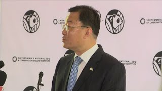 Giant pandas coming back to DC