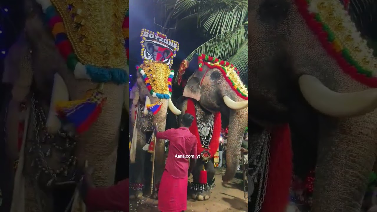 Akkarammal Shekaran ❤️‍🔥 Kadekkachal Ganeshan 