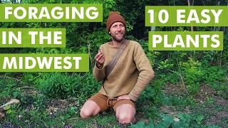 Foraging in the Midwest: Easy Edible Plants for Beginner Foragers