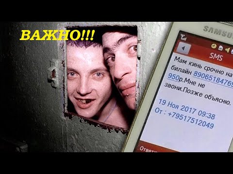 ВАЖНО!!! ПЫТАЛИСЬ КИНУТЬ ТАКСИСТА