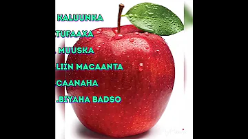 Cuntooyinka Faa Iidada U Leh Gabadha Uurka Leh 