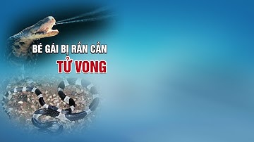 Bé Gái 4 tuổi bị Rắn Cạp Nia cắn tử vong khi đang ngủ| VTC14