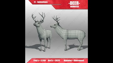 Deer Animated 3D model from CGTrader.com