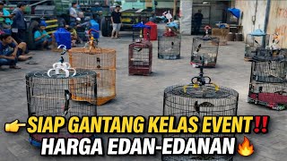 TERNYATA SEGILA INI‼️ MURAI SIAP GANTANG KELAS EVENT | GALERI MURAI JAKARTA BULAN RAMADHAN