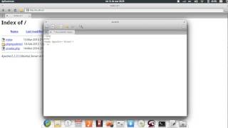 Hello World en Elementary OS Luna