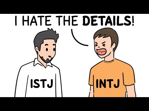   When ISTJ Meets INTJ