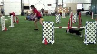 Rev 2012 WT Practice - Stoel WK Selectie Large Jumping
