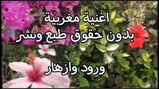اغنية مغربية بدون حقوق طبع ونشر مع جمال الازهار والورود ( هدية من ابداع 🙏)