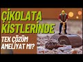 Çikolata Kisti (Endometriozis) Tedavisi Nasıl Olmalı? Hamile Kalmaya Engel Mi?