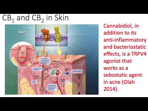 The Endocannabinoid System in Health and Disease   Dr Ethan Russo   Part 1