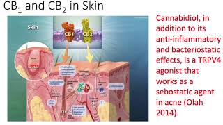 The Endocannabinoid System in Health and Disease   Dr Ethan Russo   Part 1