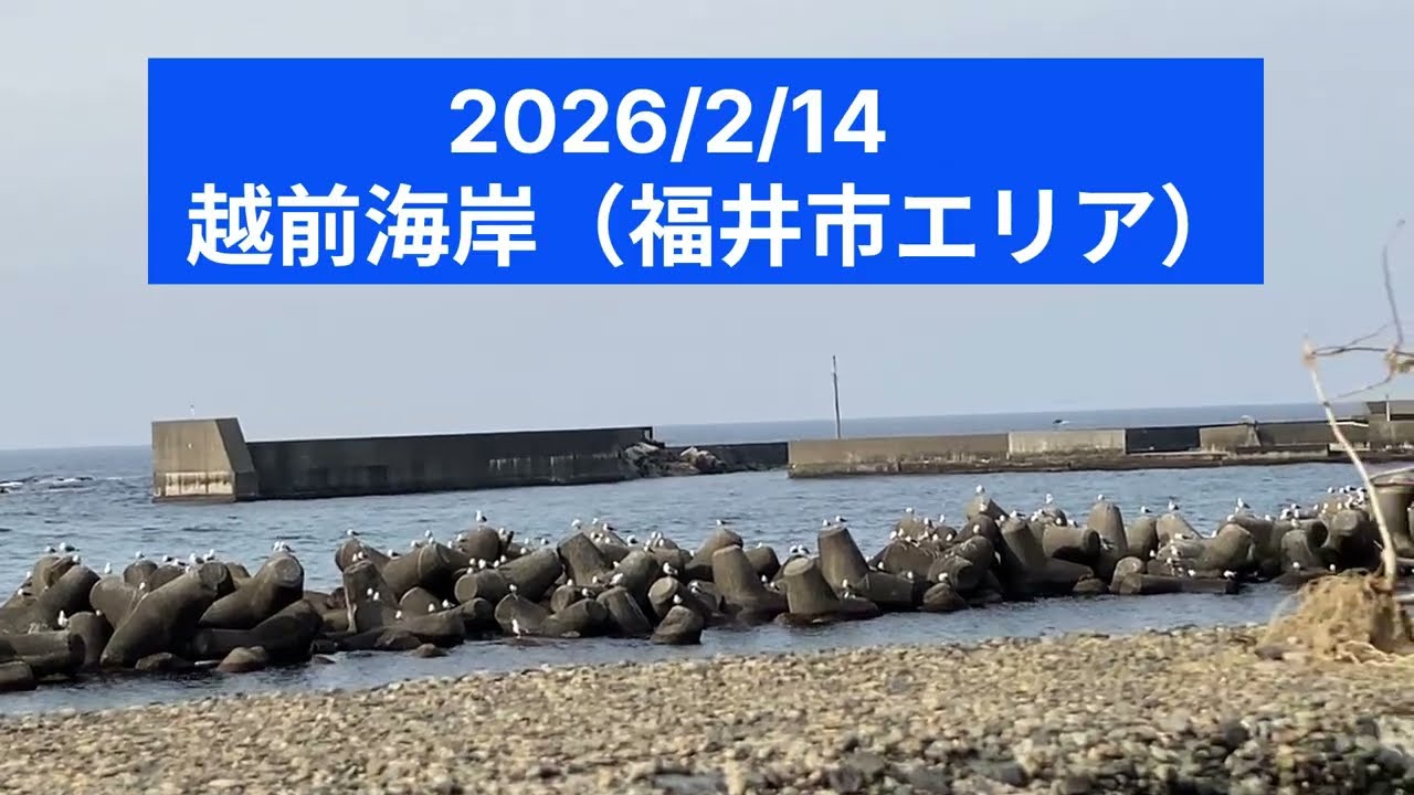 2月の越前海岸