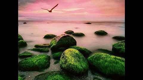 تلاوة نادرة و فريدة من نوعها من سورة النمل القارئ اسلام صبحي