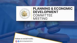 Planning & Economic Development Committee Meeting - January 20, 2026
