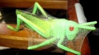 4 Ways To Make A Spider Web Wikihow